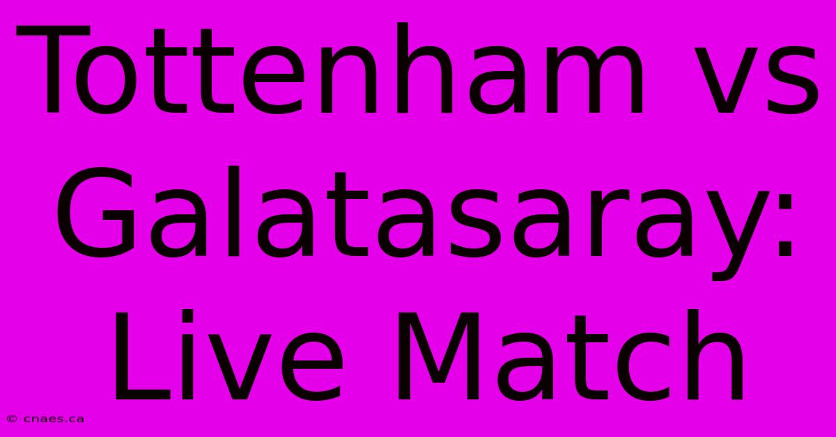 Tottenham Vs Galatasaray: Live Match