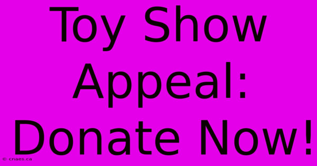 Toy Show Appeal: Donate Now!