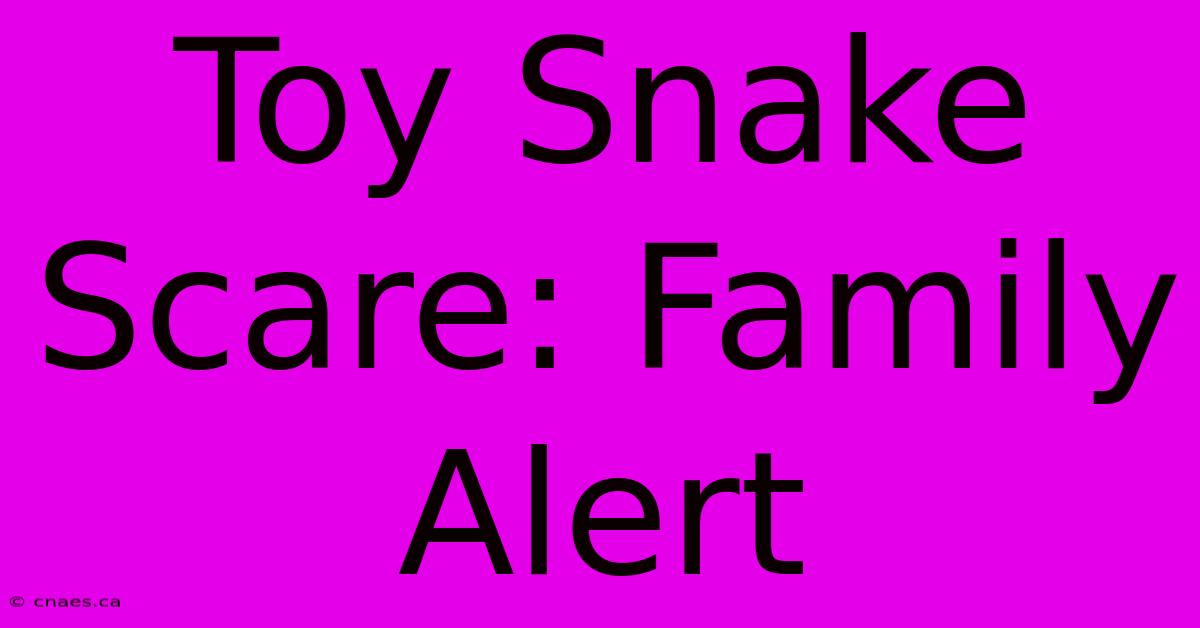 Toy Snake Scare: Family Alert