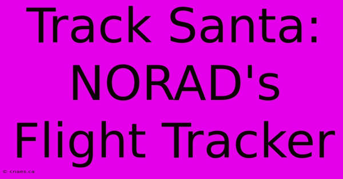 Track Santa: NORAD's Flight Tracker