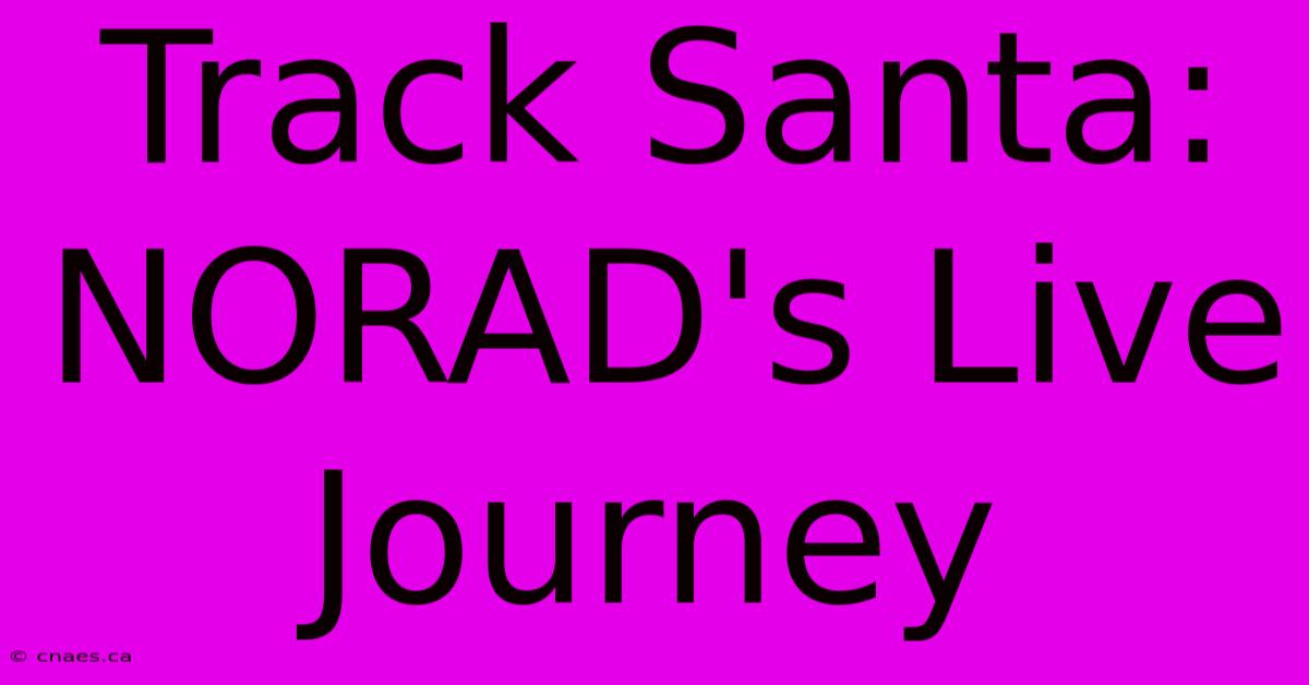 Track Santa: NORAD's Live Journey