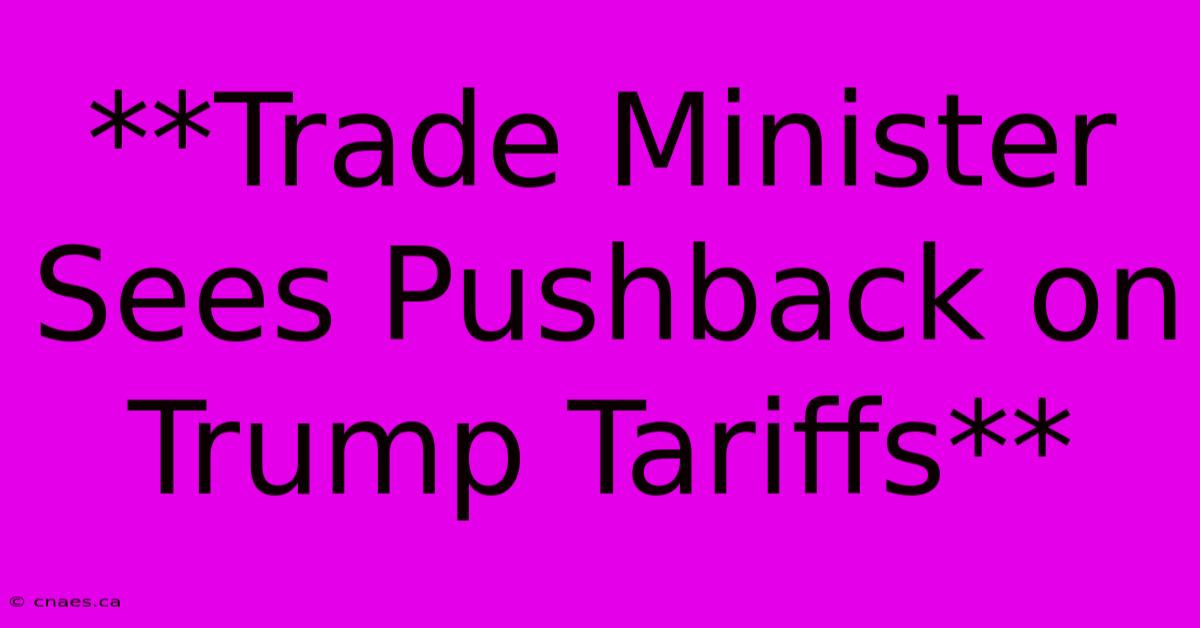 **Trade Minister Sees Pushback On Trump Tariffs**