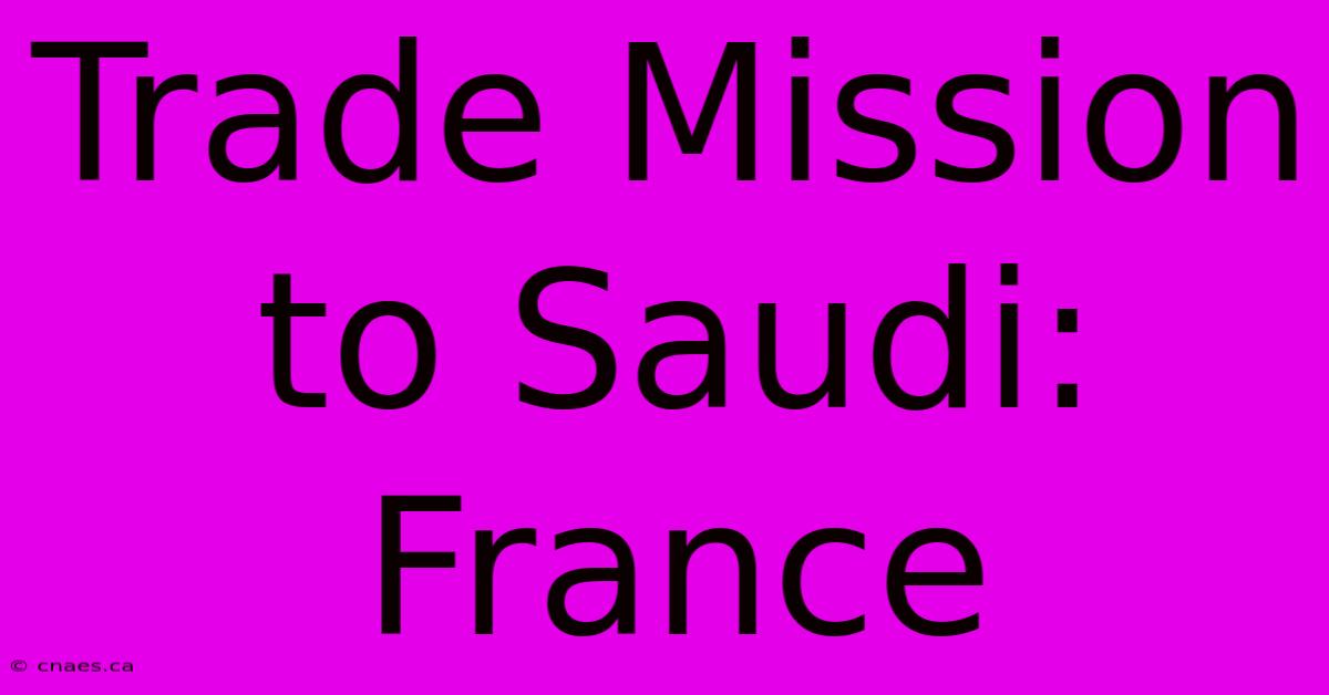 Trade Mission To Saudi: France