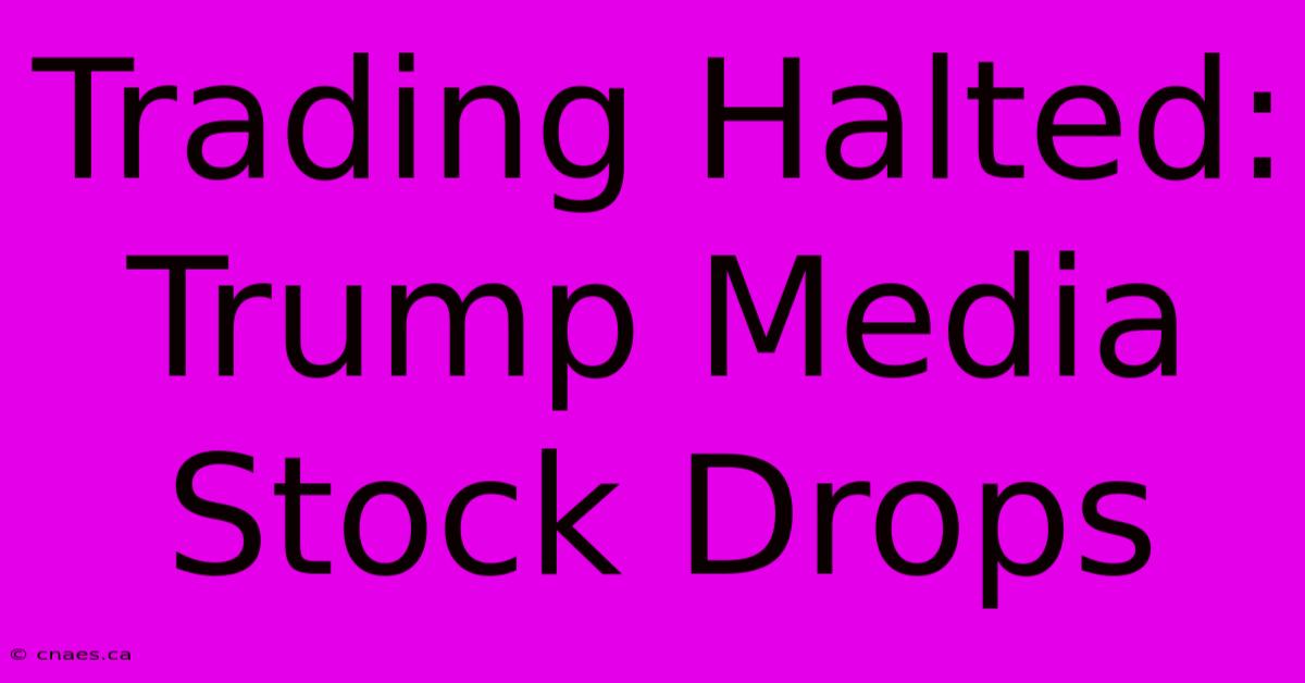 Trading Halted: Trump Media Stock Drops