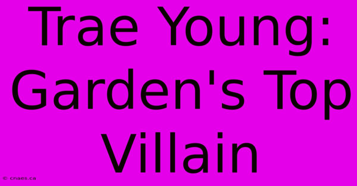 Trae Young:  Garden's Top Villain