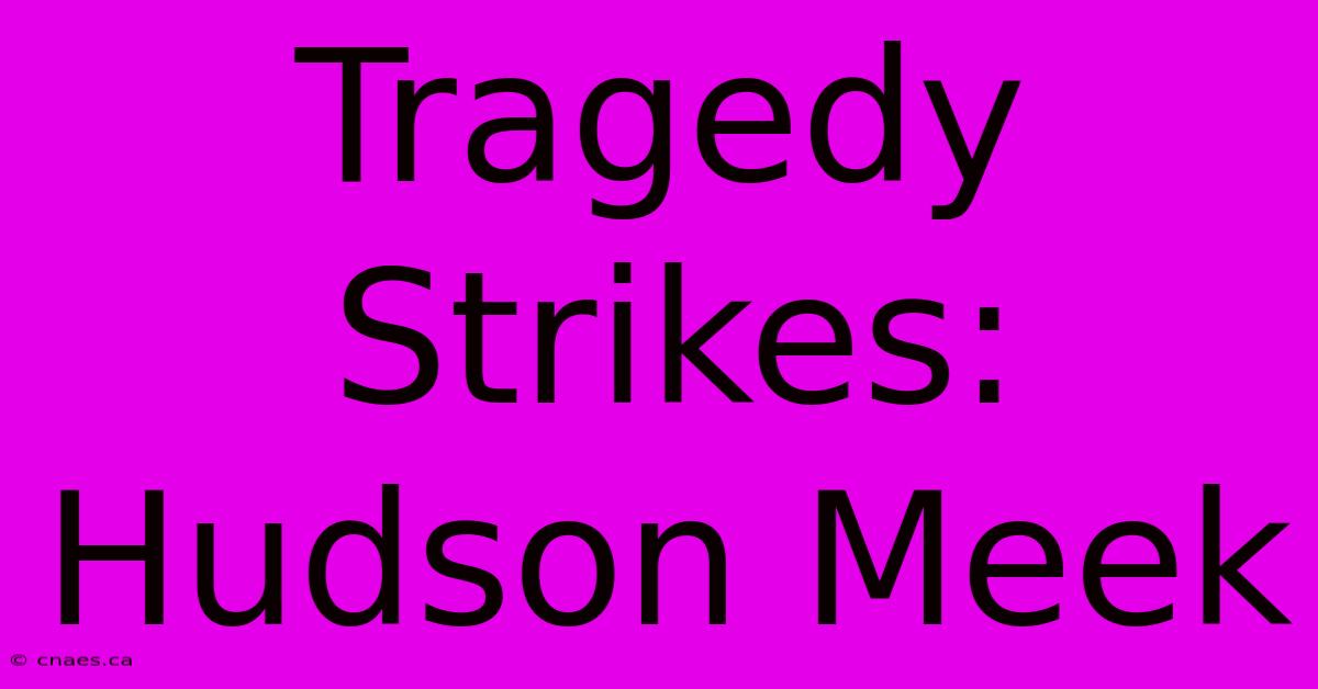 Tragedy Strikes: Hudson Meek