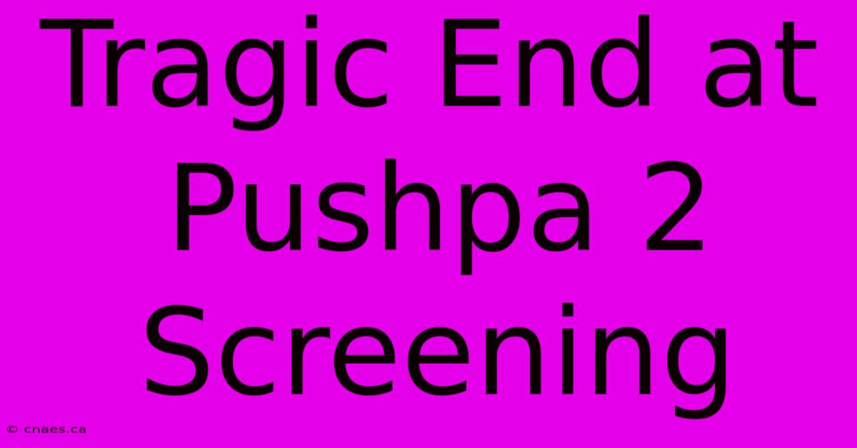 Tragic End At Pushpa 2 Screening