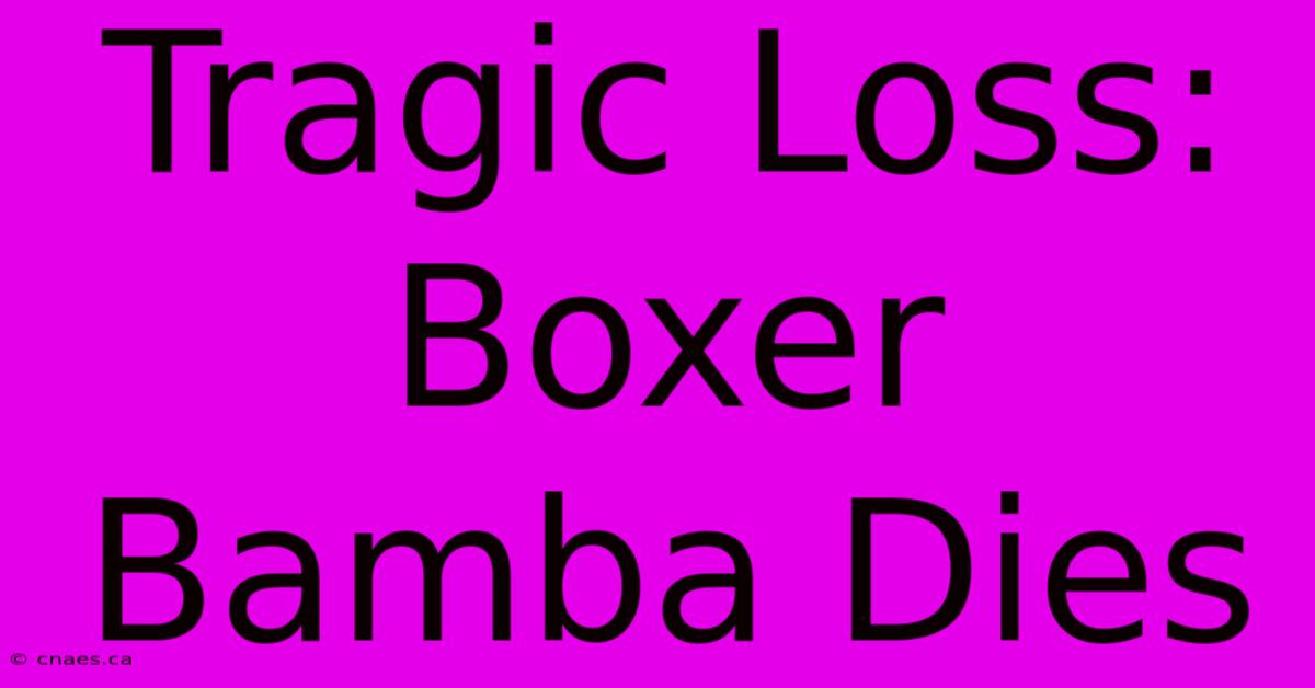 Tragic Loss: Boxer Bamba Dies