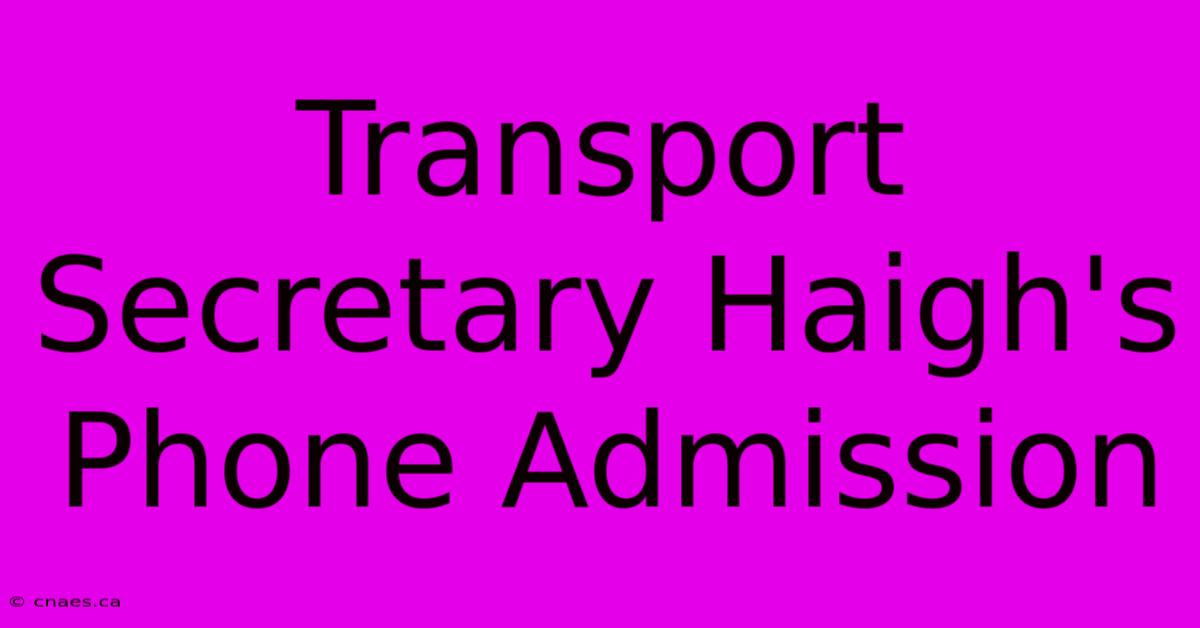 Transport Secretary Haigh's Phone Admission