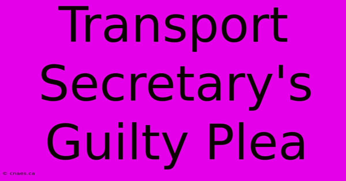 Transport Secretary's Guilty Plea