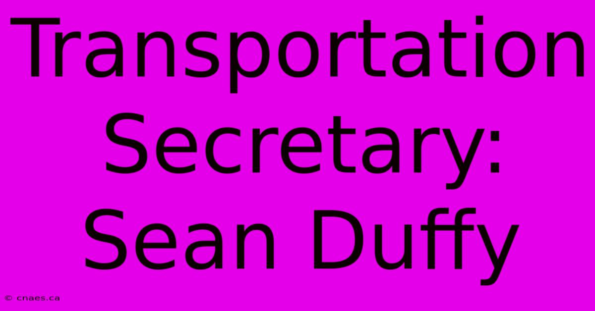 Transportation Secretary: Sean Duffy