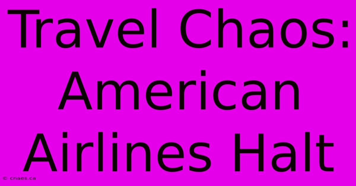 Travel Chaos: American Airlines Halt