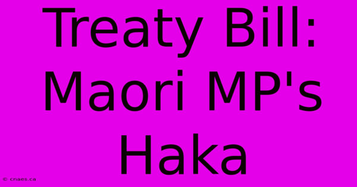 Treaty Bill: Maori MP's Haka