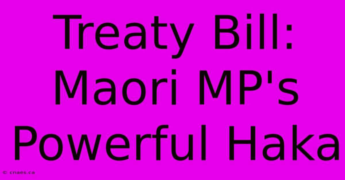 Treaty Bill: Maori MP's Powerful Haka