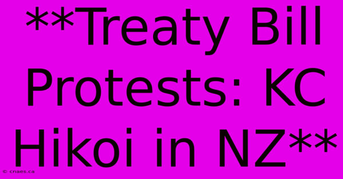 **Treaty Bill Protests: KC Hikoi In NZ**