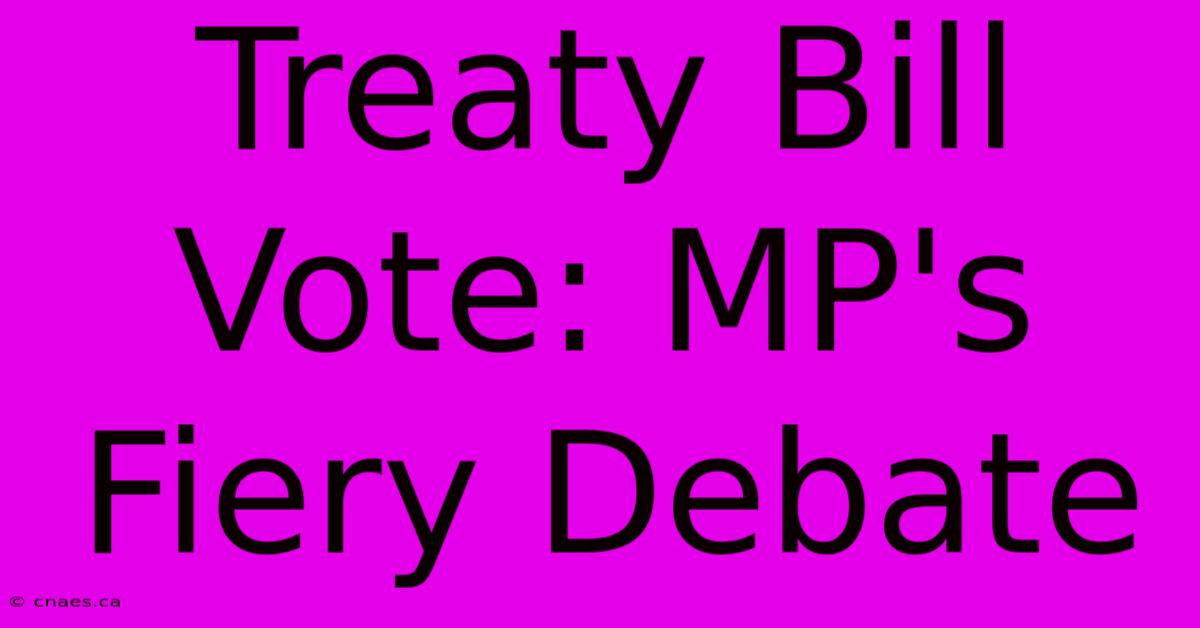 Treaty Bill Vote: MP's Fiery Debate