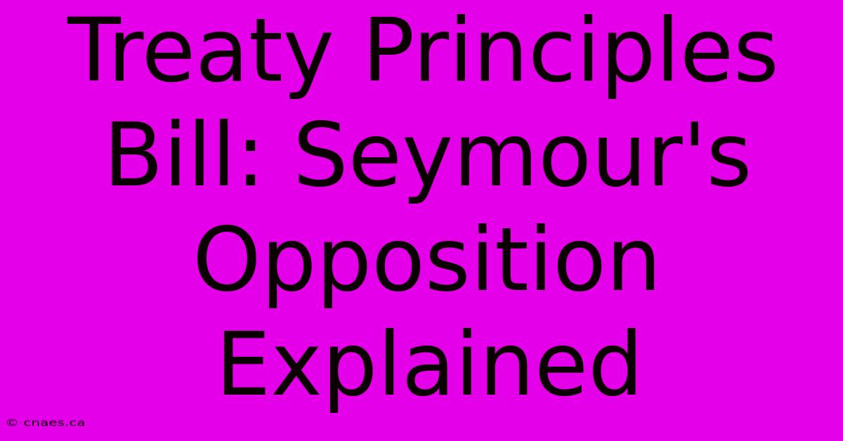 Treaty Principles Bill: Seymour's Opposition Explained