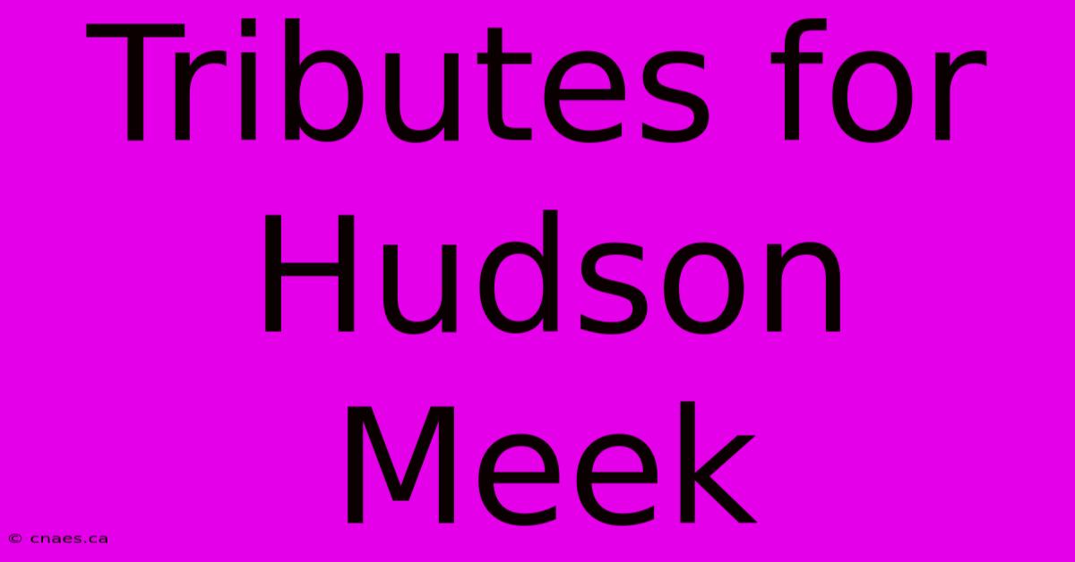 Tributes For Hudson Meek