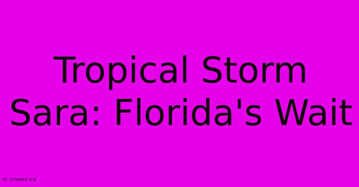 Tropical Storm Sara: Florida's Wait 