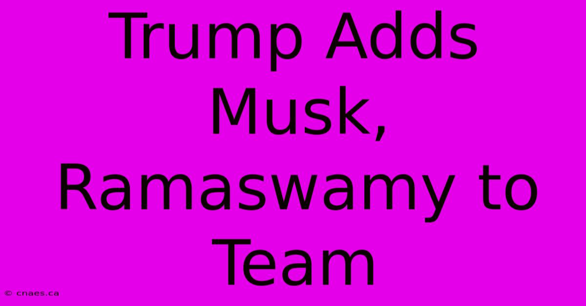 Trump Adds Musk, Ramaswamy To Team