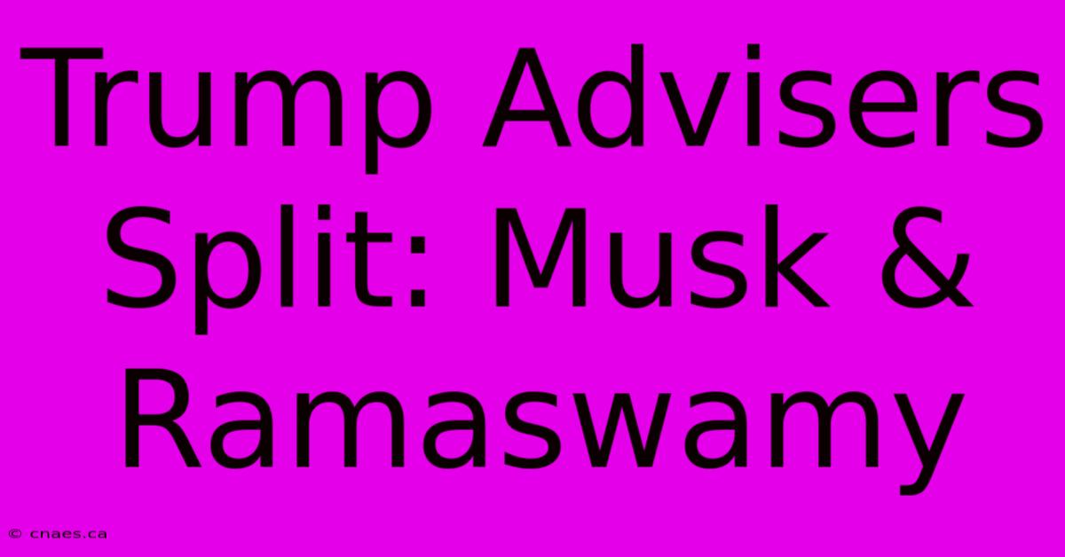 Trump Advisers Split: Musk & Ramaswamy