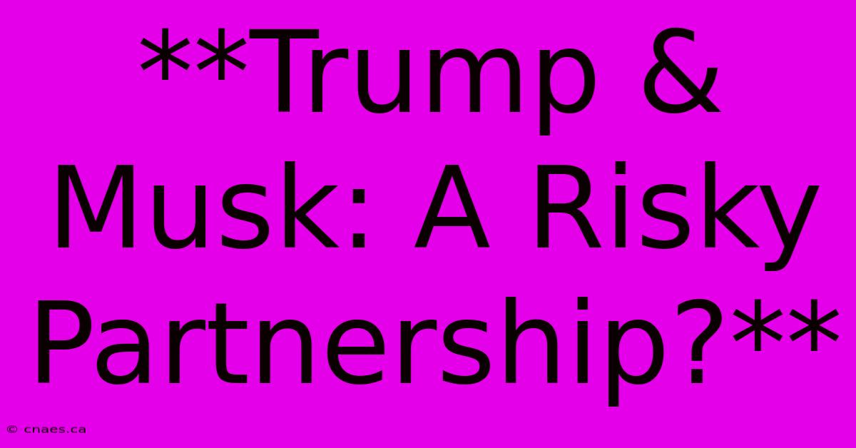 **Trump & Musk: A Risky Partnership?**