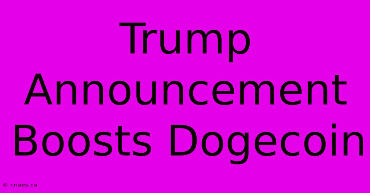 Trump Announcement Boosts Dogecoin