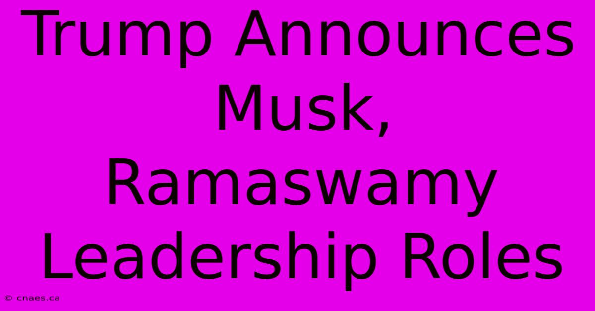 Trump Announces Musk, Ramaswamy Leadership Roles