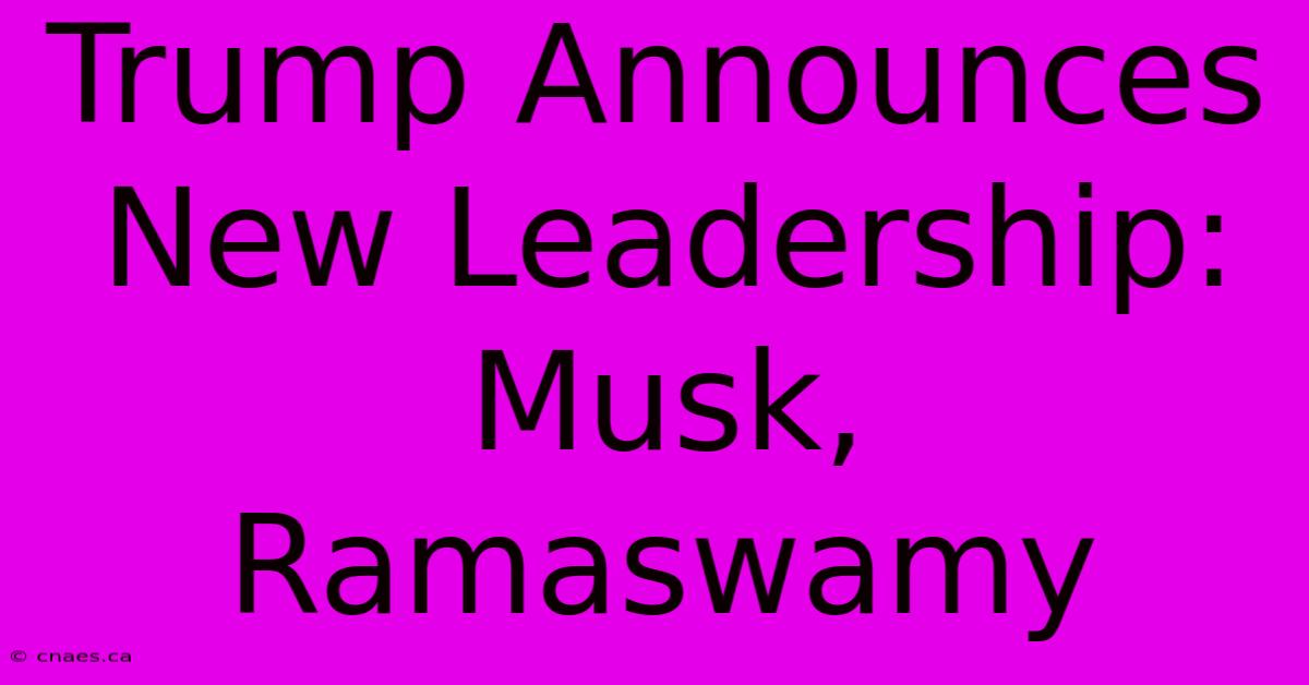 Trump Announces New Leadership: Musk, Ramaswamy