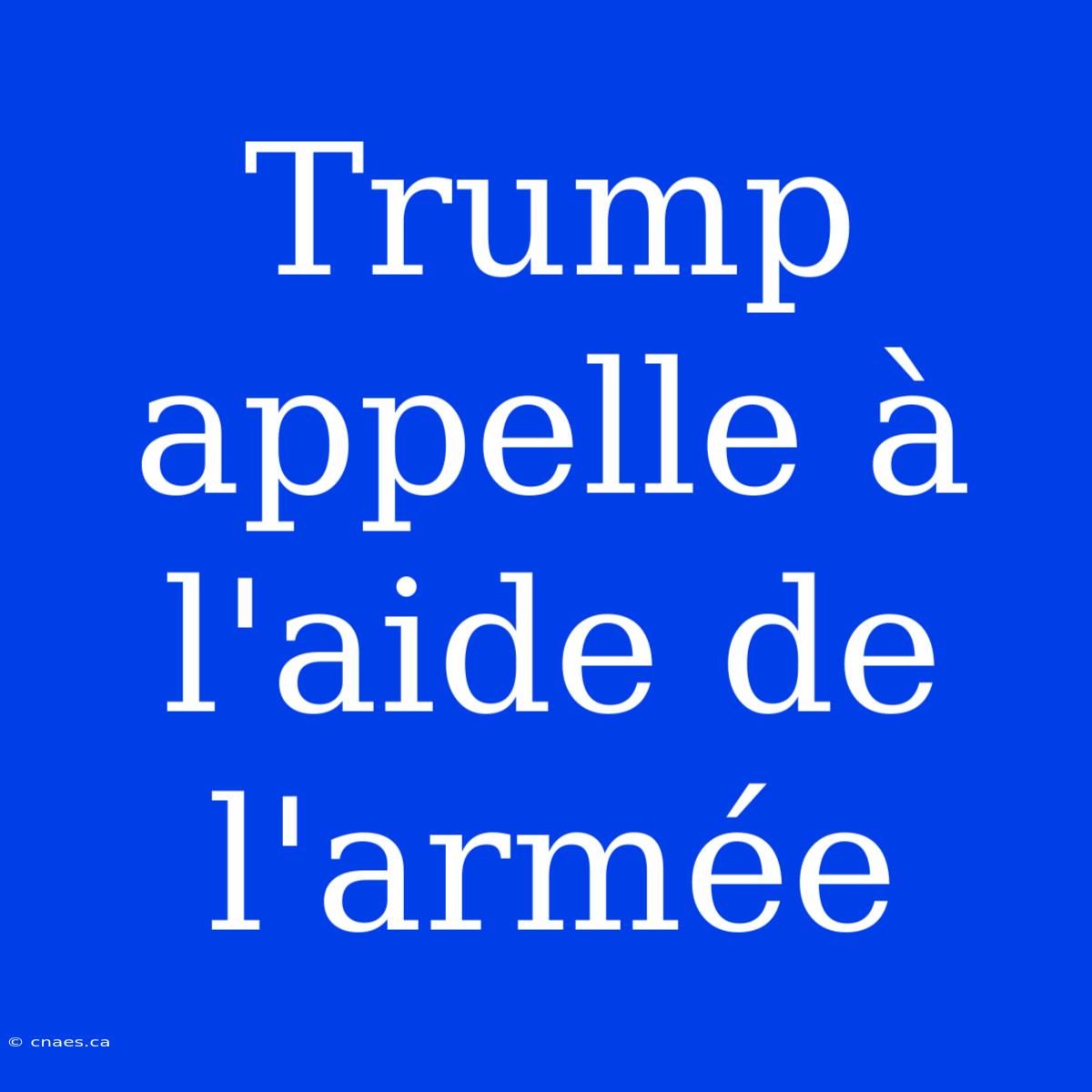 Trump Appelle À L'aide De L'armée