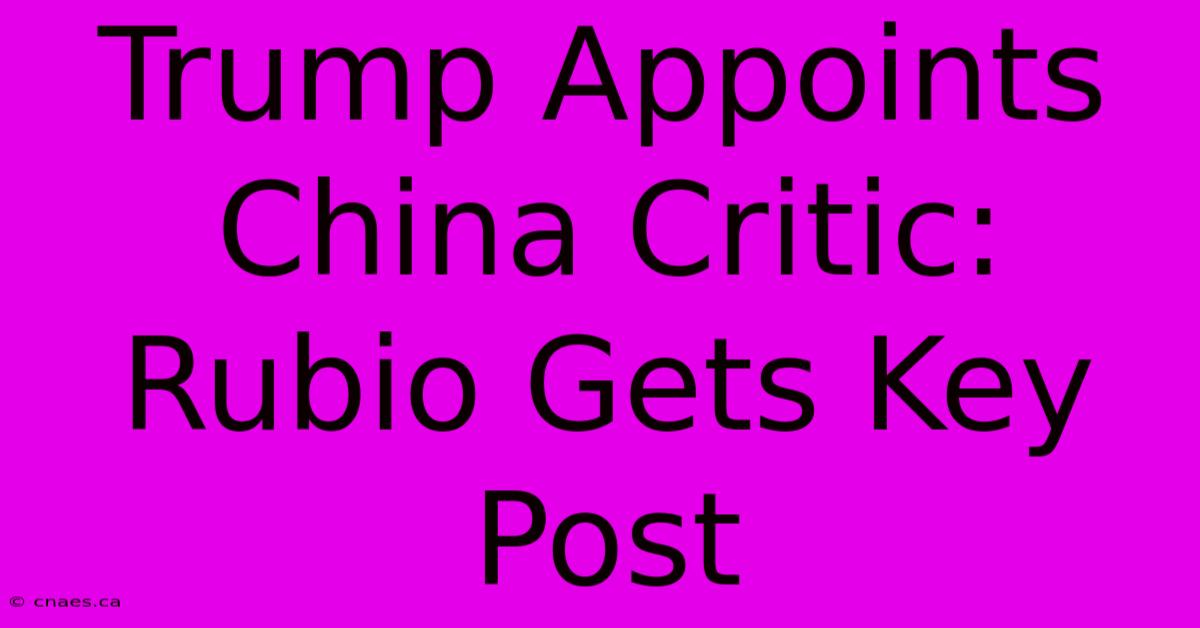 Trump Appoints China Critic: Rubio Gets Key Post