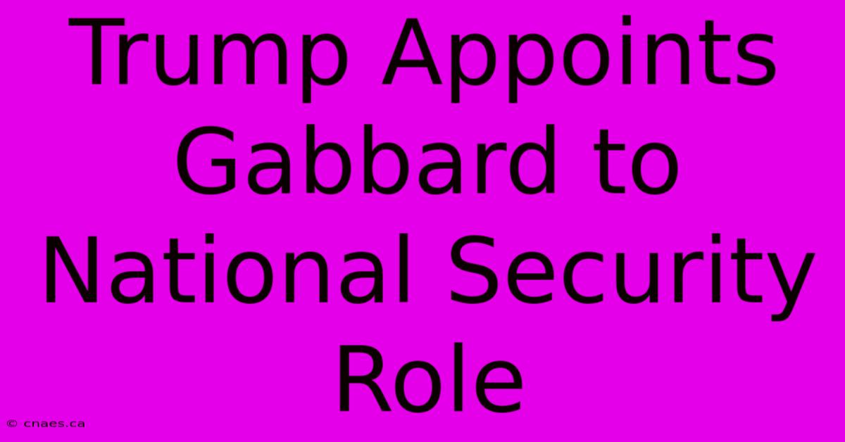 Trump Appoints Gabbard To National Security Role