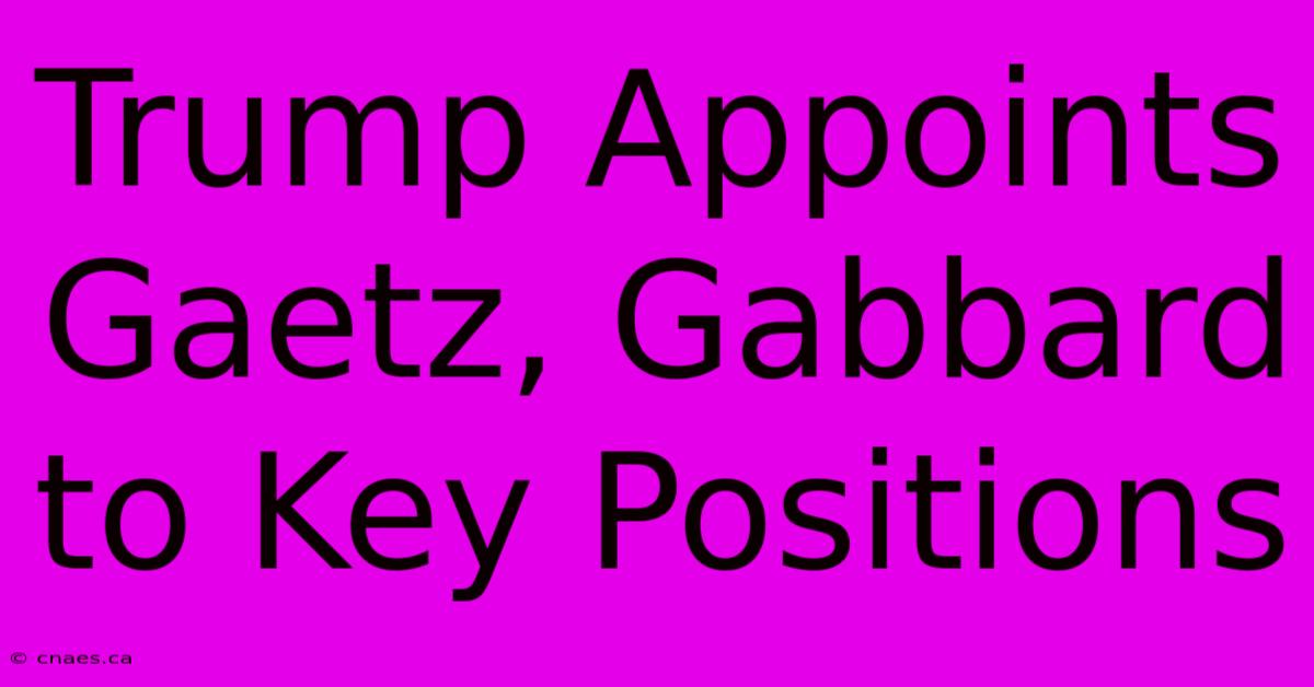 Trump Appoints Gaetz, Gabbard To Key Positions 