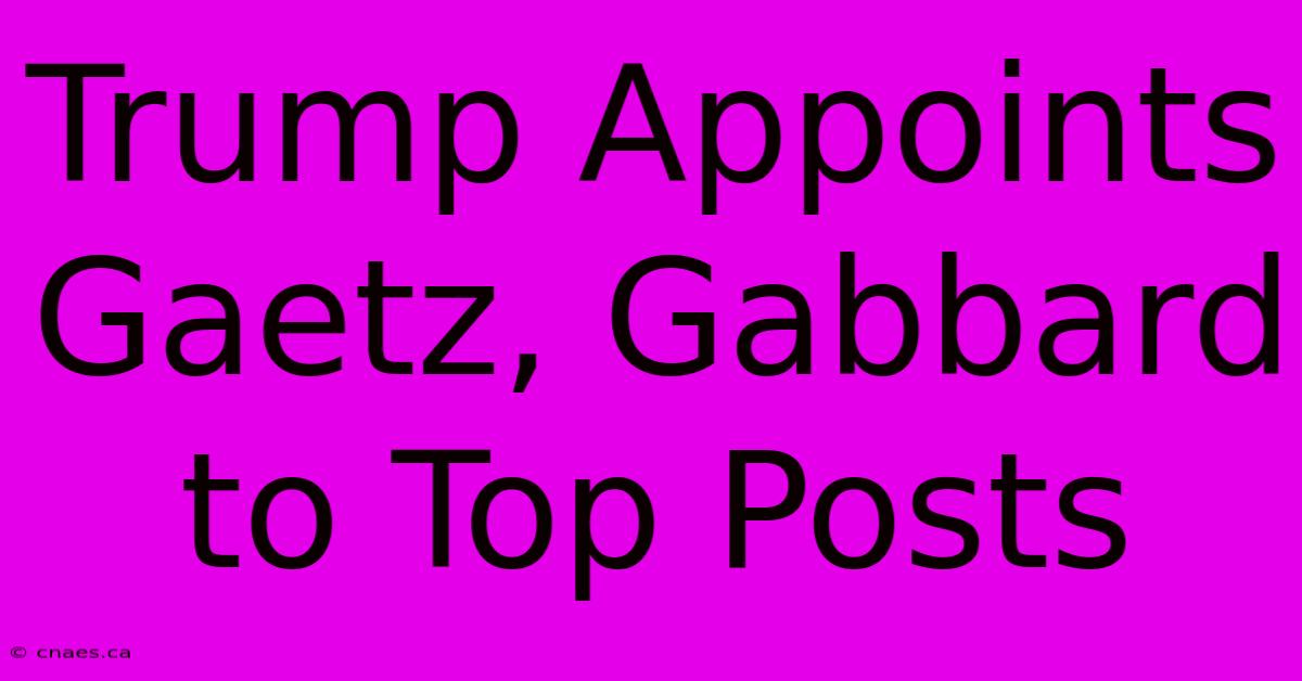 Trump Appoints Gaetz, Gabbard To Top Posts