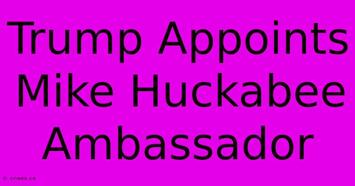 Trump Appoints Mike Huckabee Ambassador