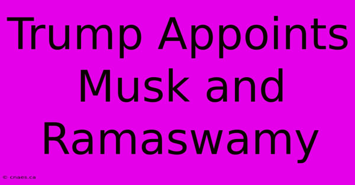 Trump Appoints Musk And Ramaswamy