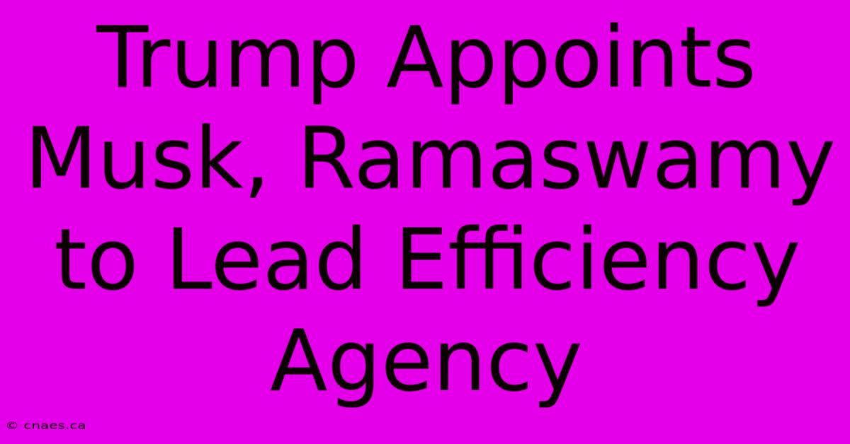 Trump Appoints Musk, Ramaswamy To Lead Efficiency Agency