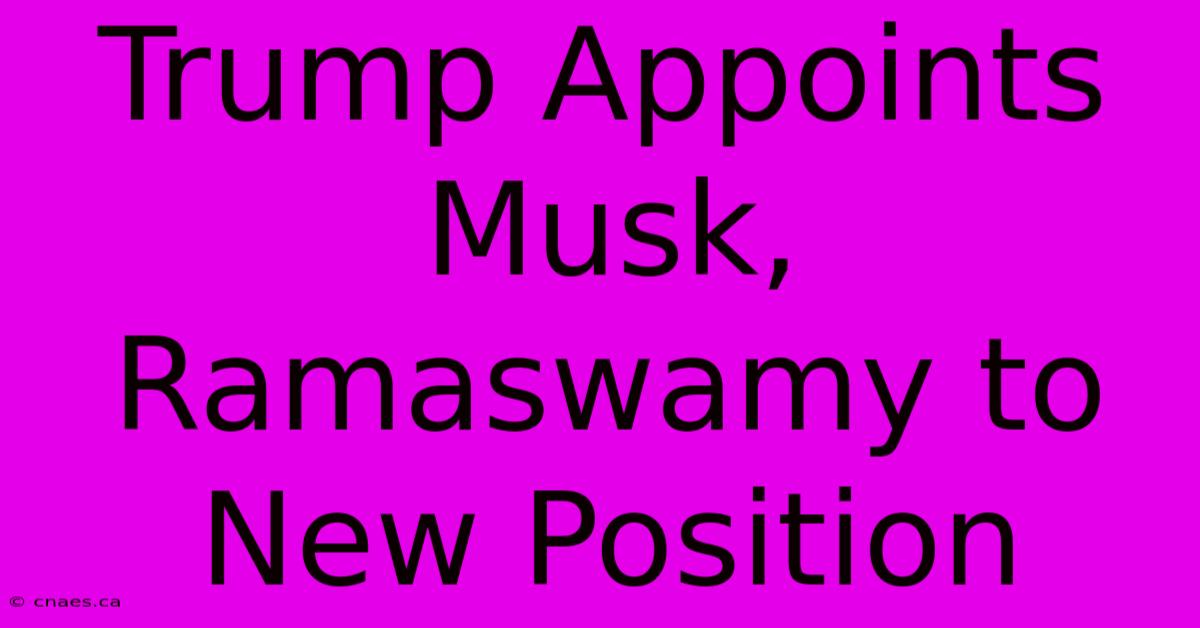 Trump Appoints Musk, Ramaswamy To New Position 