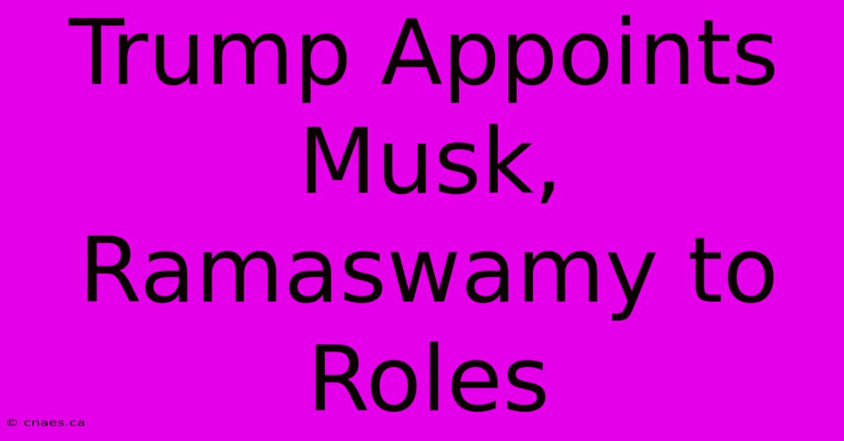 Trump Appoints Musk, Ramaswamy To Roles