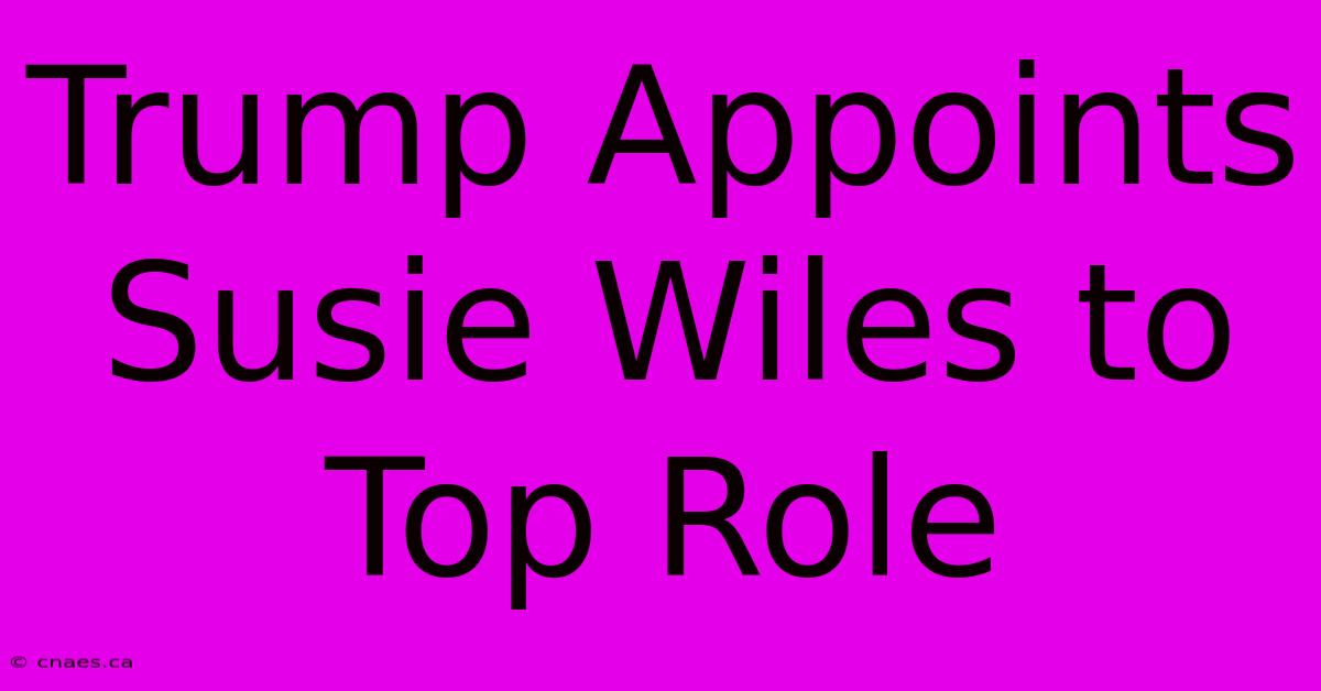 Trump Appoints Susie Wiles To Top Role