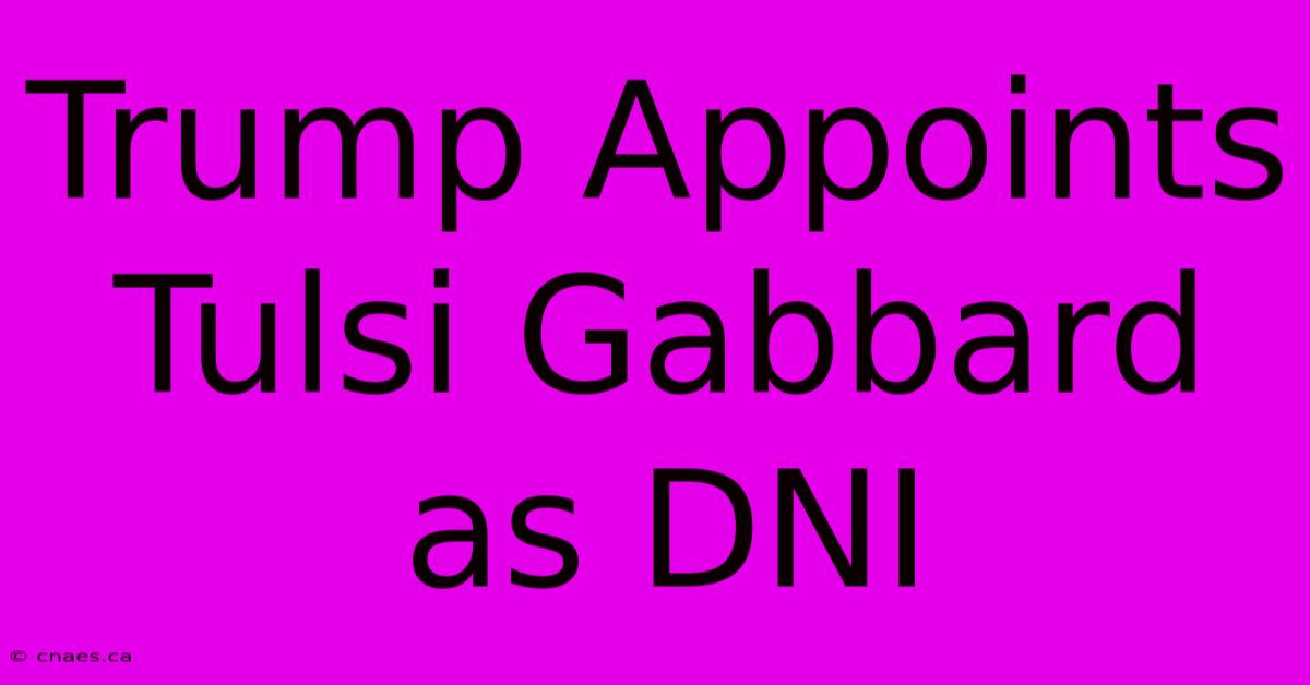 Trump Appoints Tulsi Gabbard As DNI 