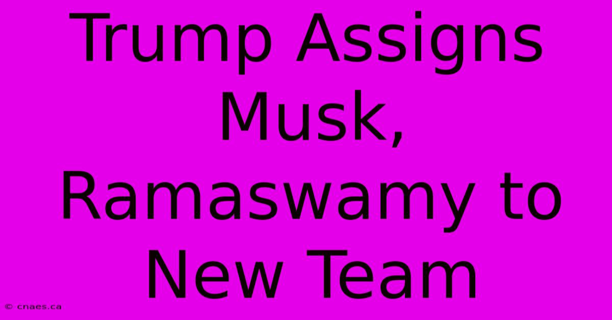 Trump Assigns Musk, Ramaswamy To New Team 