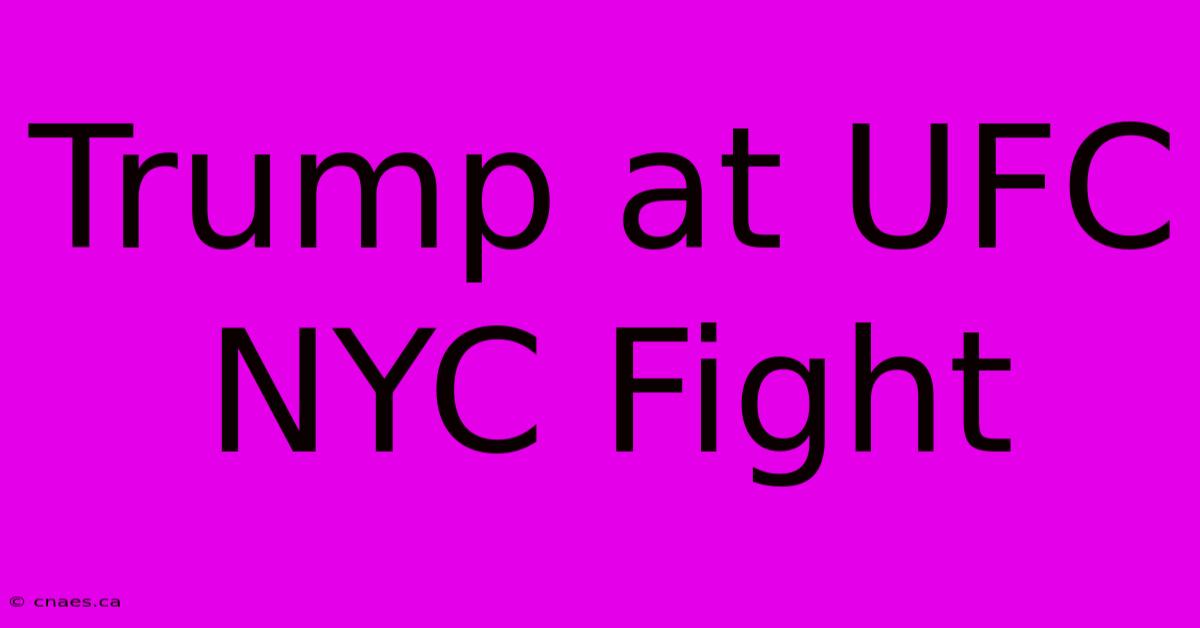 Trump At UFC NYC Fight