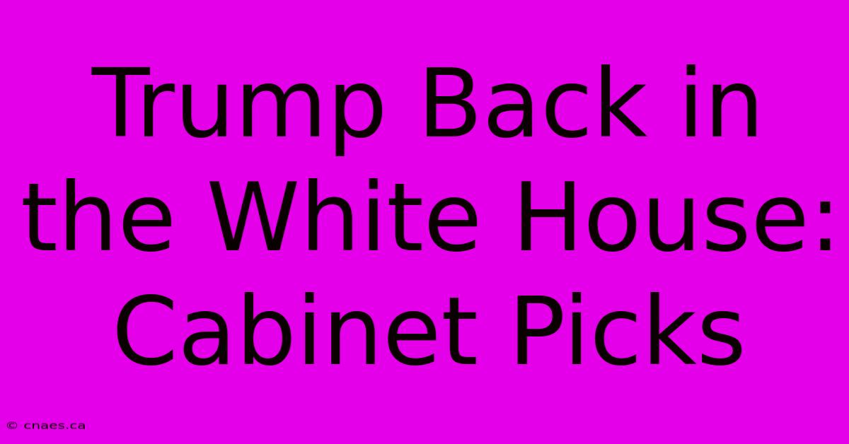 Trump Back In The White House: Cabinet Picks