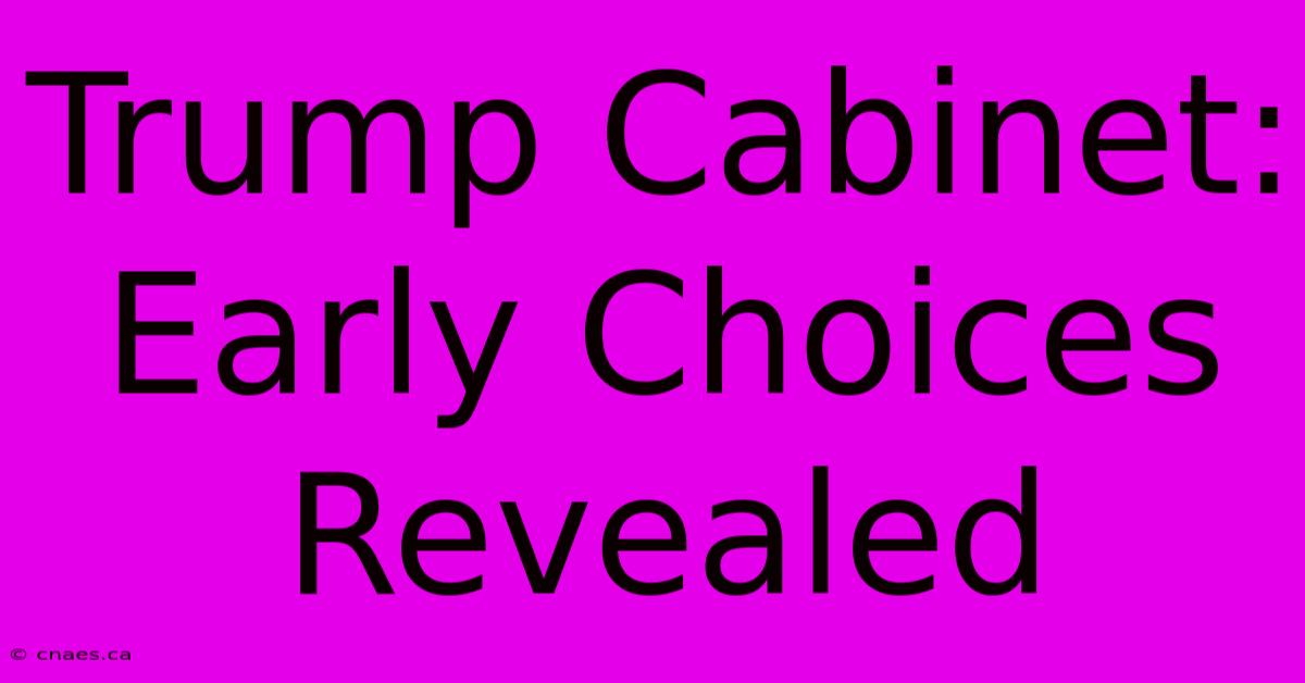 Trump Cabinet: Early Choices Revealed