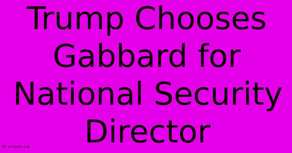 Trump Chooses Gabbard For National Security Director