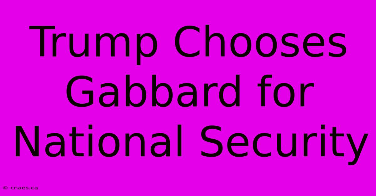 Trump Chooses Gabbard For National Security