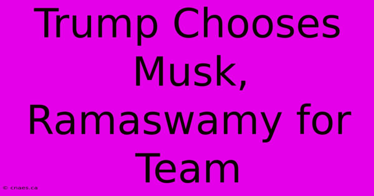 Trump Chooses Musk, Ramaswamy For Team 