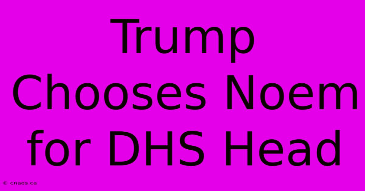 Trump Chooses Noem For DHS Head