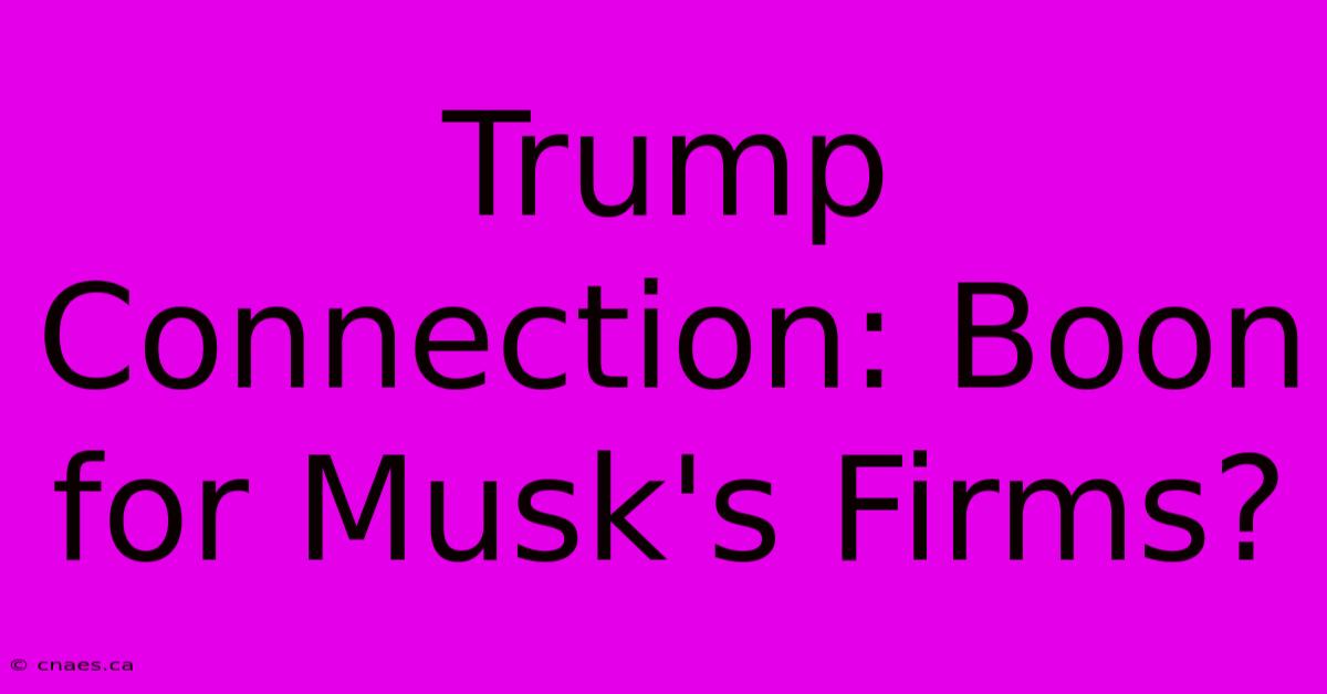 Trump Connection: Boon For Musk's Firms? 